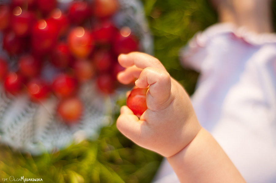 Detal - zdjęcie dziecka trzymającego czereśnie. Fotograf Olsztyn.